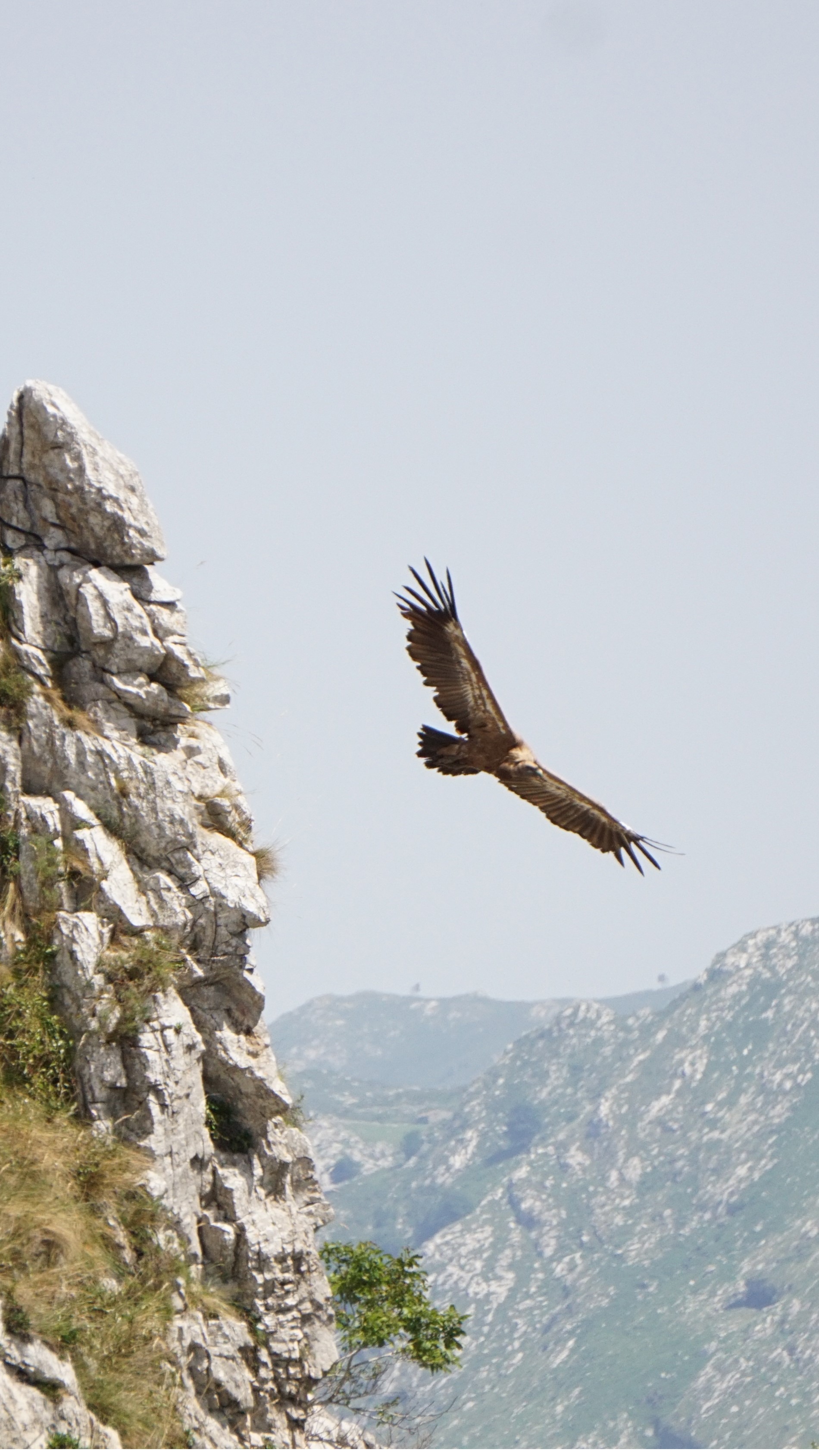 Busjes pech en Asturias